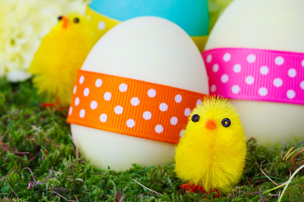 easter-chicks-and-eggs